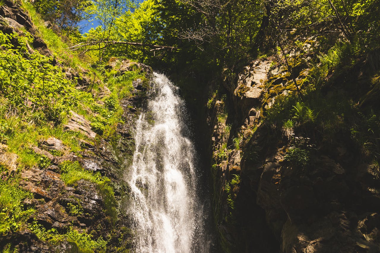 our-story A breathtaking waterfall surrounded by lush greenery in the Black Forest, Germany.