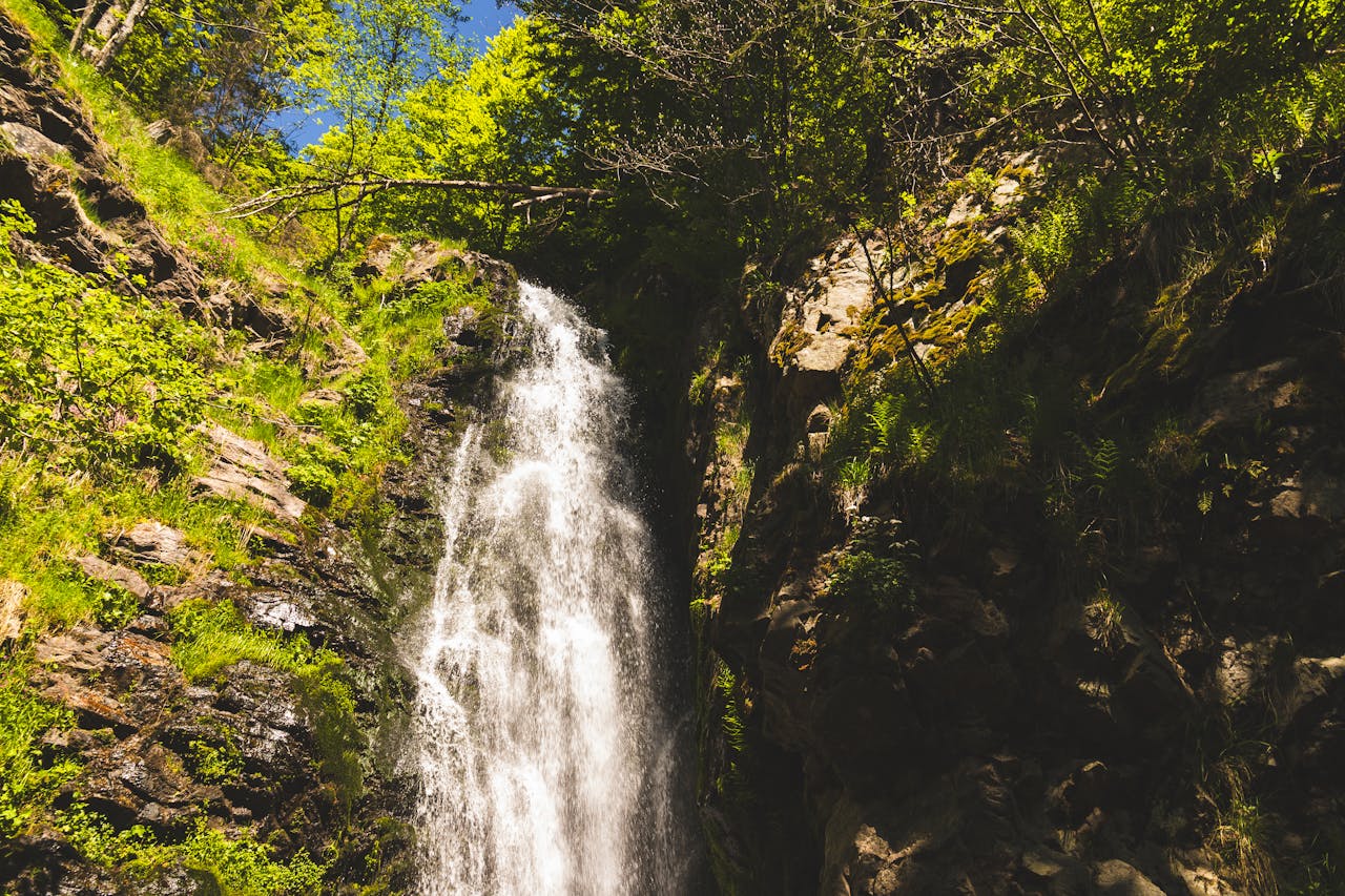 about-us-img Stunning waterfall cascading in the lush greenery of the Black Forest, Germany.